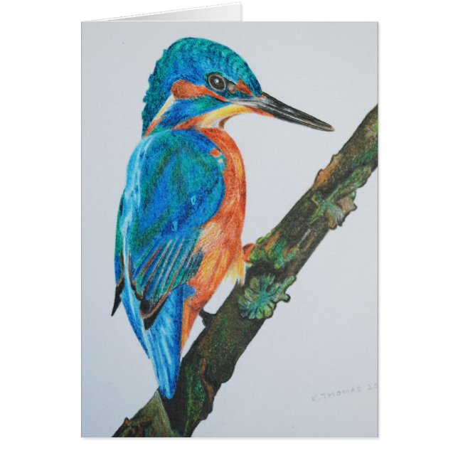 Kingfisher (Front)