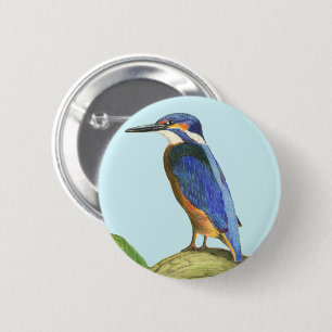 Kingfisher 6 Cm Round Badge