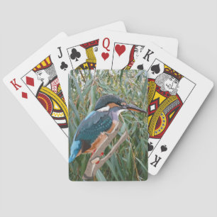 Kingfisher and Willow Playing Cards