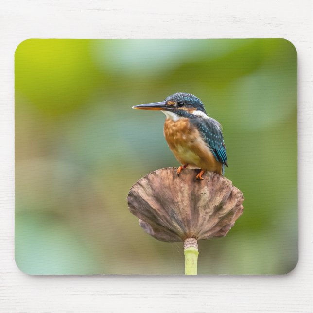 kingfisher, animal, nature mouse mat (Front)