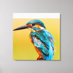Kingfisher At Dawn Canvas Print