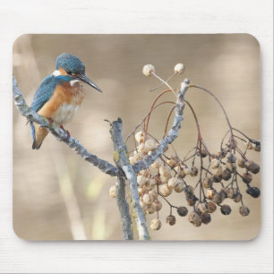 Kingfisher at Hula Reserve Mouse Mat