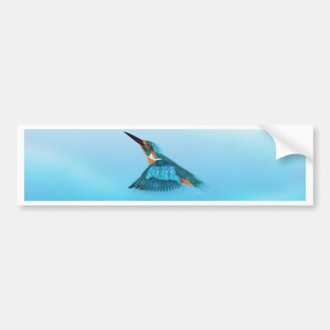 Kingfisher Bird Bumper Sticker (Front)