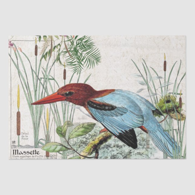 Kingfisher Bird Cattail Pond Wildlife Tissue Paper (Front)