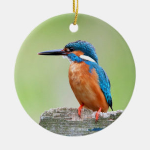 Kingfisher bird ceramic tree decoration