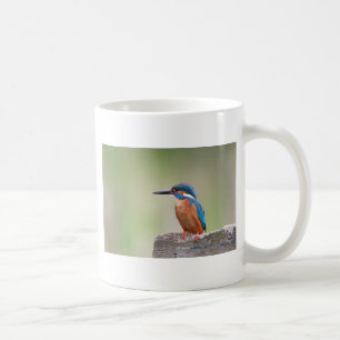 Kingfisher bird. coffee mug