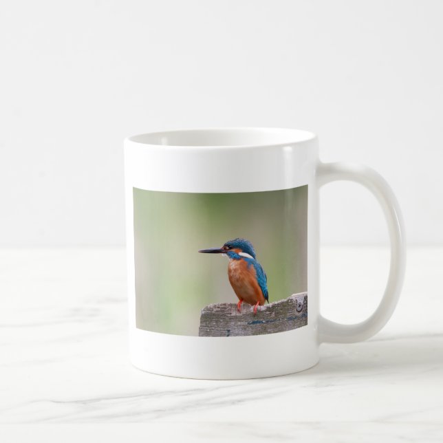 Kingfisher bird. coffee mug (Right)