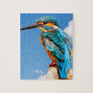 Kingfisher Bird Jigsaw Puzzle