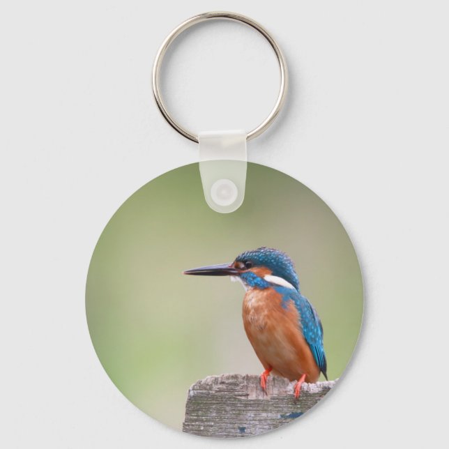 Kingfisher bird. key ring (Front)
