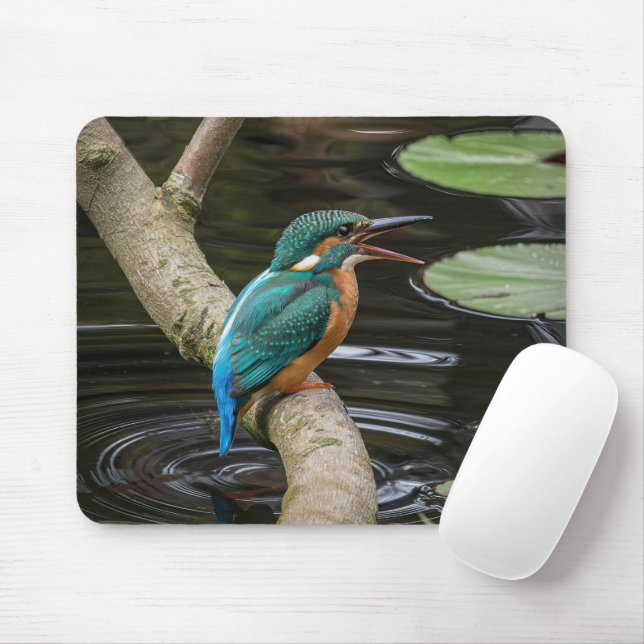 Kingfisher Bird Mouse Mat (With Mouse)