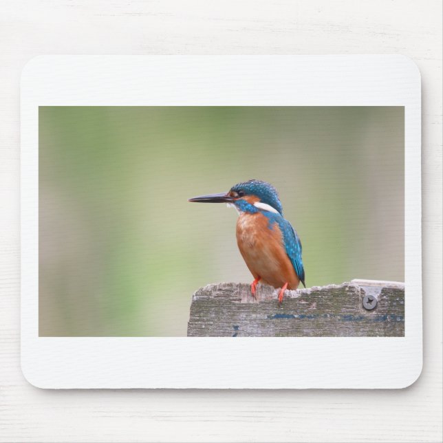 Kingfisher bird. mouse mat (Front)