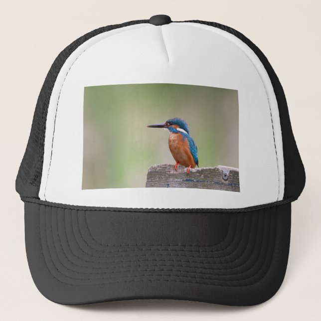 Kingfisher bird. trucker hat (Front)
