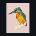 Kingfisher Bird Watercolor Painting Postcard<br><div class="desc">This is a watercolor painting of a kingfisher bird. It is sitting on the edge of a branch. The bird has bright colours. Orange and yellow on his belly and green on his head and wings. He is looking sideways.</div>
