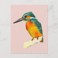 Kingfisher Bird Watercolor Painting