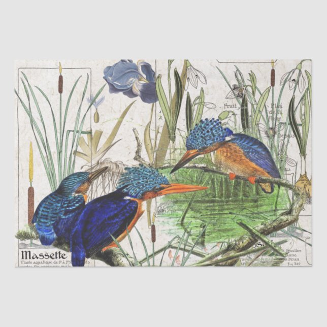 Kingfisher Birds Cattail Iris Flowers Tissue Paper (Front)