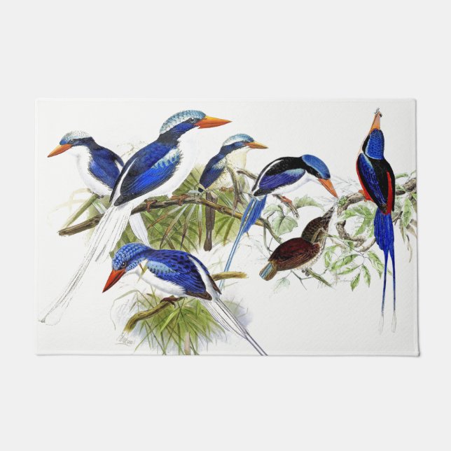Kingfisher Birds Wildlife Animals Door Mat (Front)
