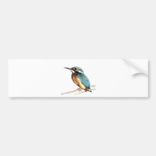 "Kingfisher" Bumper Sticker