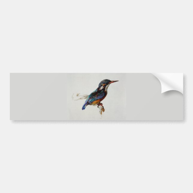 Kingfisher (by John Ruskin) Bumper Sticker (Front)