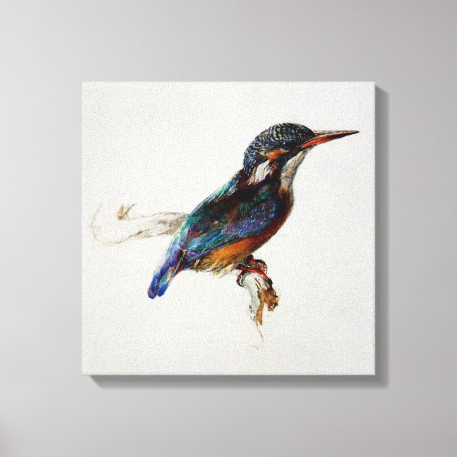 Kingfisher (by John Ruskin) Canvas Print (Front)