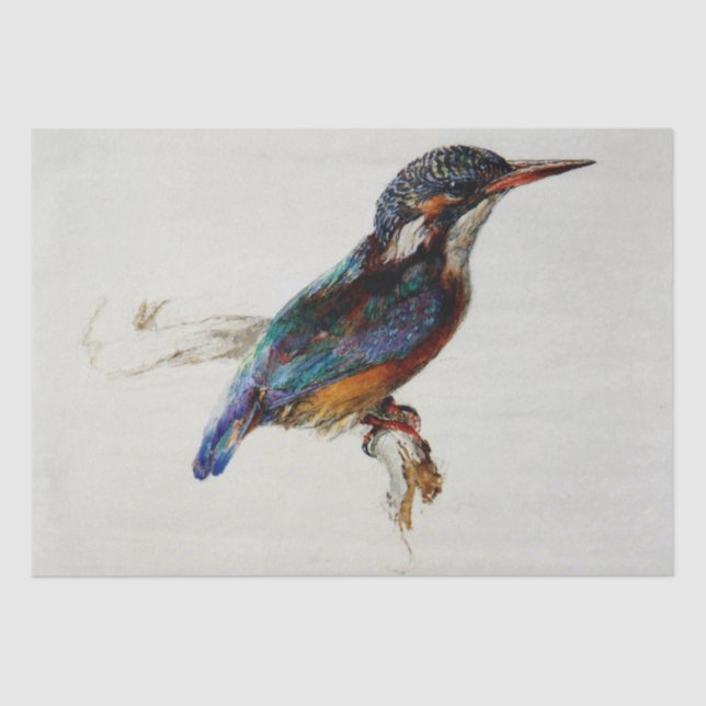 Kingfisher (by John Ruskin) Tissue Paper (Front)