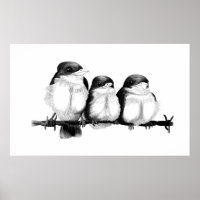 Kingfisher Chicks