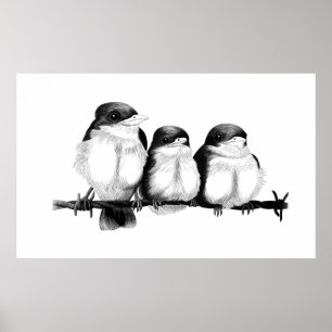 Kingfisher Chicks Poster