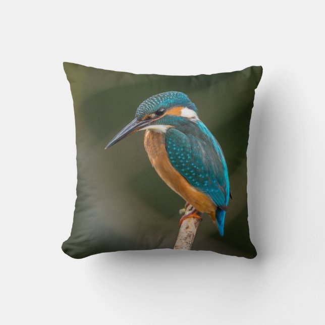 Kingfisher Cushion (Front)