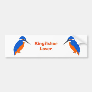 Kingfisher Design Bumper Sticker