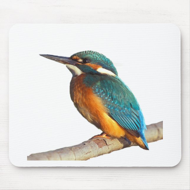 "Kingfisher" design products Mouse Mat (Front)