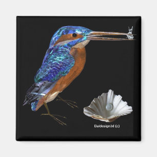 KINGFISHER , Electric Blue, Black Magnet