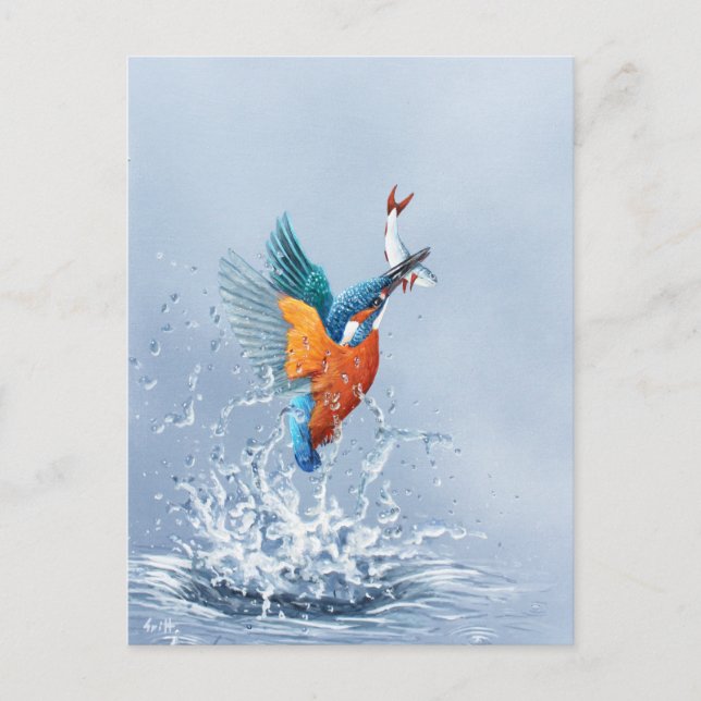 Kingfisher flying out of the water postcard (Front)