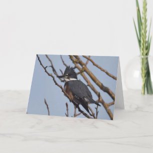 Kingfisher - Frameable Art Card