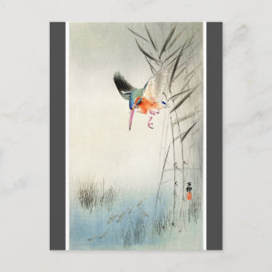 Kingfisher Hunting - Ohara Koson - charcoal Postcard