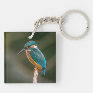 KIngfisher Key Ring