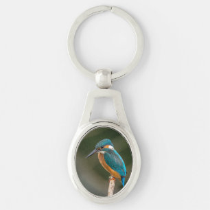 KIngfisher Key Ring
