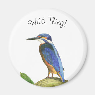 Kingfisher Magnet
