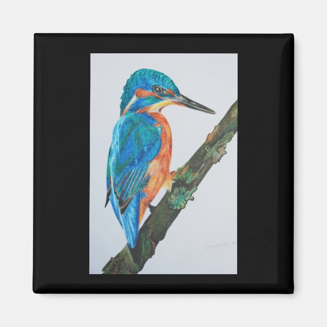 Kingfisher Magnet (Front)