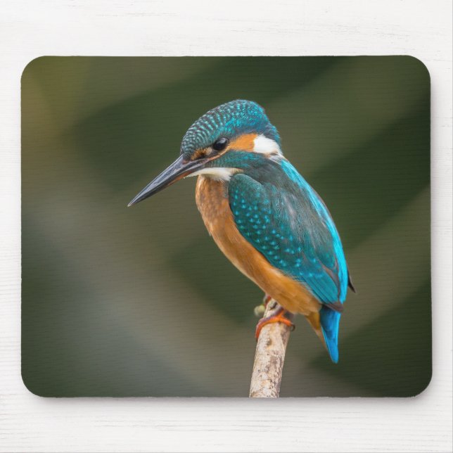KIngfisher Mouse Mat (Front)