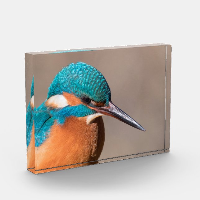 Kingfisher Nature Photo Block (Left)