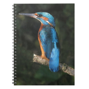 Kingfisher Notebook