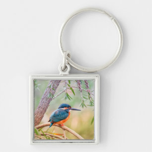 Kingfisher Perched on Branch Key Ring