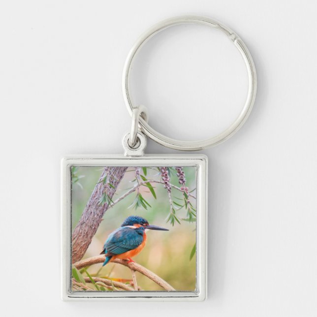 Kingfisher Perched on Branch Key Ring (Front)