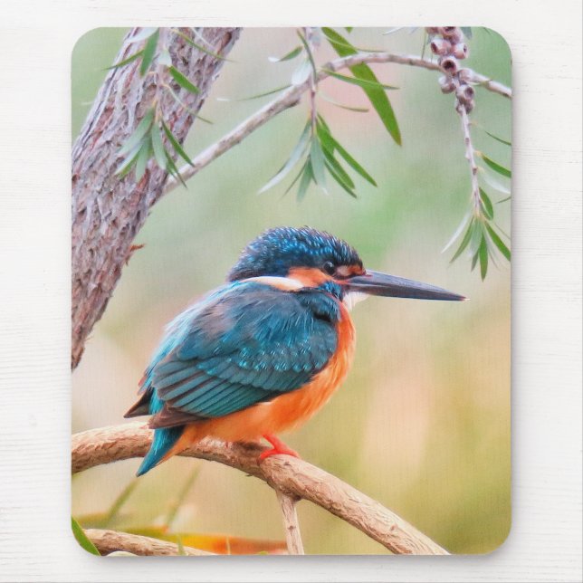 Kingfisher Perched on Branch Mouse Mat (Front)