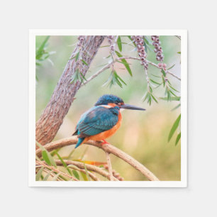 Kingfisher Perched on Branch Napkin
