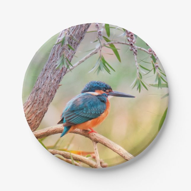 Kingfisher Perched on Branch Paper Plate (Front)