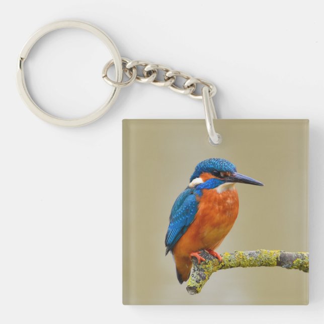 Kingfisher Portrait Photograph Key Ring (Front)