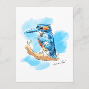 Kingfisher Postcard