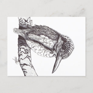 KINGFISHER POSTCARD