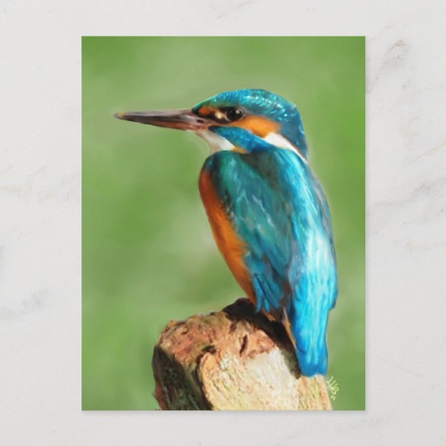 Kingfisher Postcard (Front)