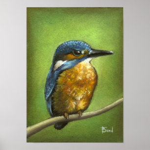 Kingfisher Poster